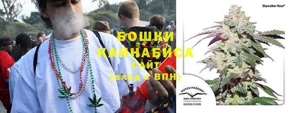 Альфа ПВП Кукмор