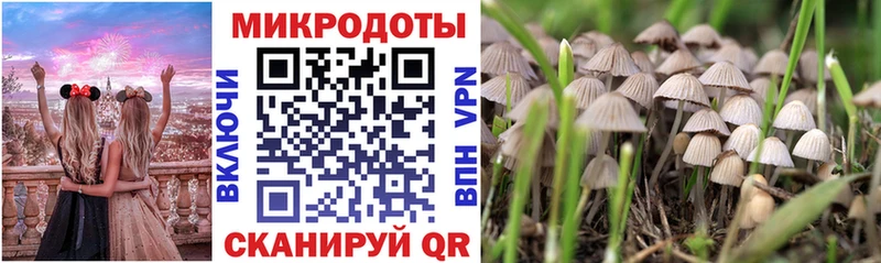 наркошоп  Морозовск  Псилоцибиновые грибы мухоморы 